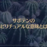 サボテンのスピリチュアルな意味とは？サボテンが枯れるときの意味もご紹介！