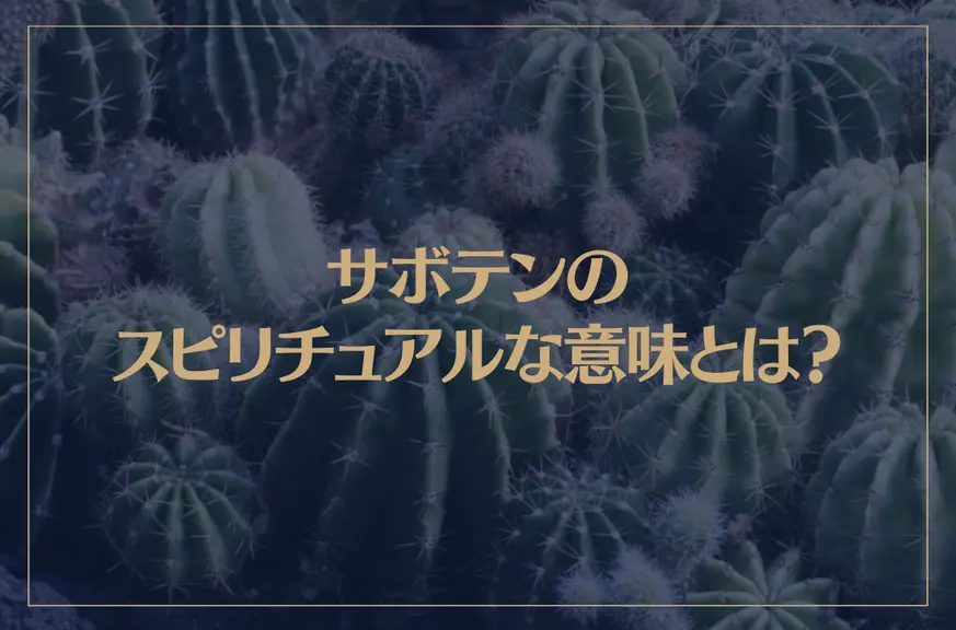 サボテンのスピリチュアルな意味とは？サボテンが枯れるときの意味もご紹介！