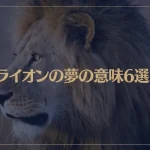 【夢占い】ライオンの夢の意味6選！シチュエーション別にご紹介！