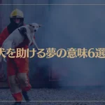 【夢占い】犬を助ける夢の意味6選！シチュエーション別にご紹介！