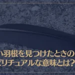 黒い羽根を見つけたときのスピリチュアルな意味とは？