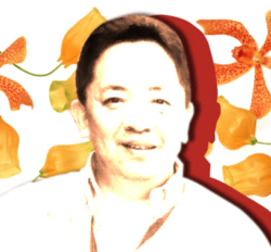 ハリー田西先生