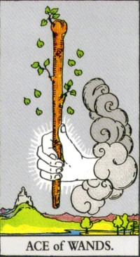 【タロットカード解説】ワンドのエースの意味とは？