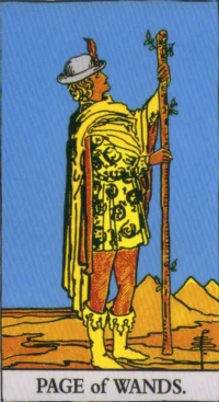 【タロットカード解説】ワンドのペイジの意味とは？