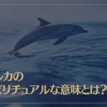 イルカのスピリチュアルな意味とは？