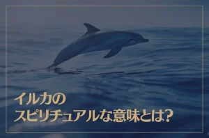 イルカのスピリチュアルな意味とは？