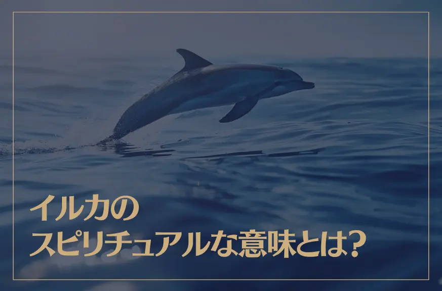 イルカのスピリチュアルな意味とは？