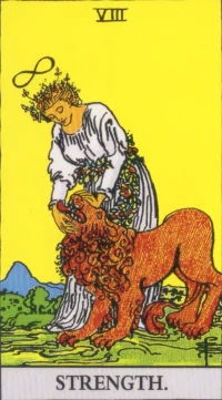 【タロットカード解説】力の意味とは？