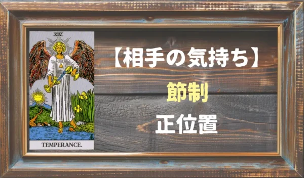【相手の気持ち】節制の正位置が出た場合