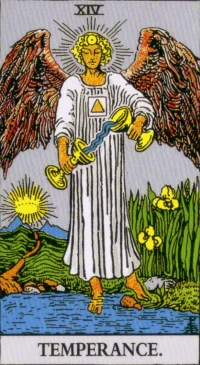 【タロットカード解説】節制の意味とは？