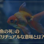「金魚の死」のスピリチュアルな意味やサインとは？