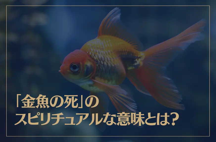 「金魚の死」のスピリチュアルな意味やサインとは？