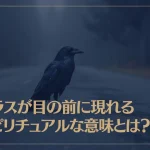 カラスが目の前に現れるスピリチュアルな意味とは？