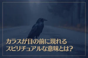 カラスが目の前に現れるスピリチュアルな意味とは？