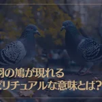 二羽の鳩が現れるスピリチュアルな意味やメッセージとは？