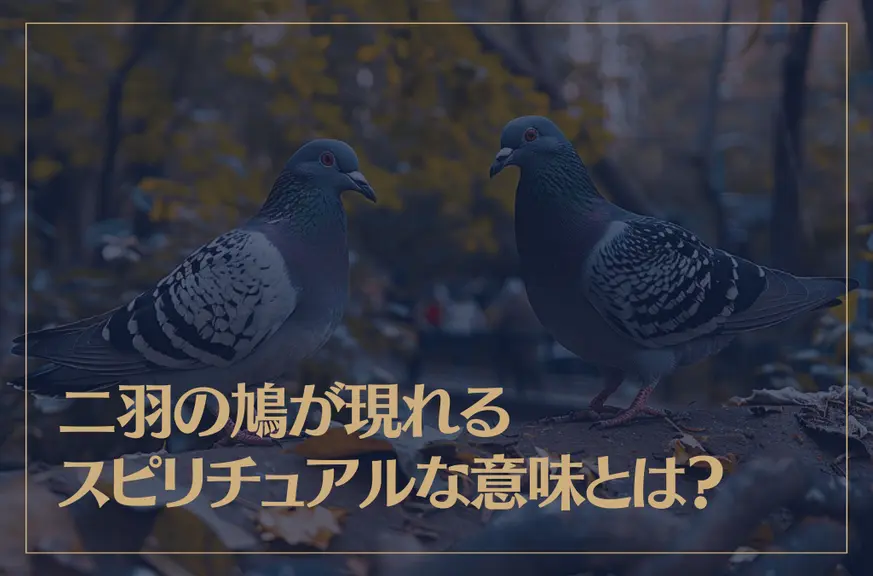 二羽の鳩が現れるスピリチュアルな意味やメッセージとは？