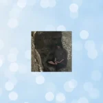 網野隆之先生の占いは当たる？当たらない？参考になる口コミをご紹介！