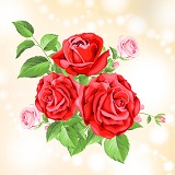 美龍(ビリア)先生