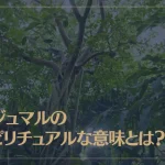 ガジュマルのスピリチュアルな意味とは？
