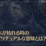 庭木が枯れる時のスピリチュアルなサインと意味とは？