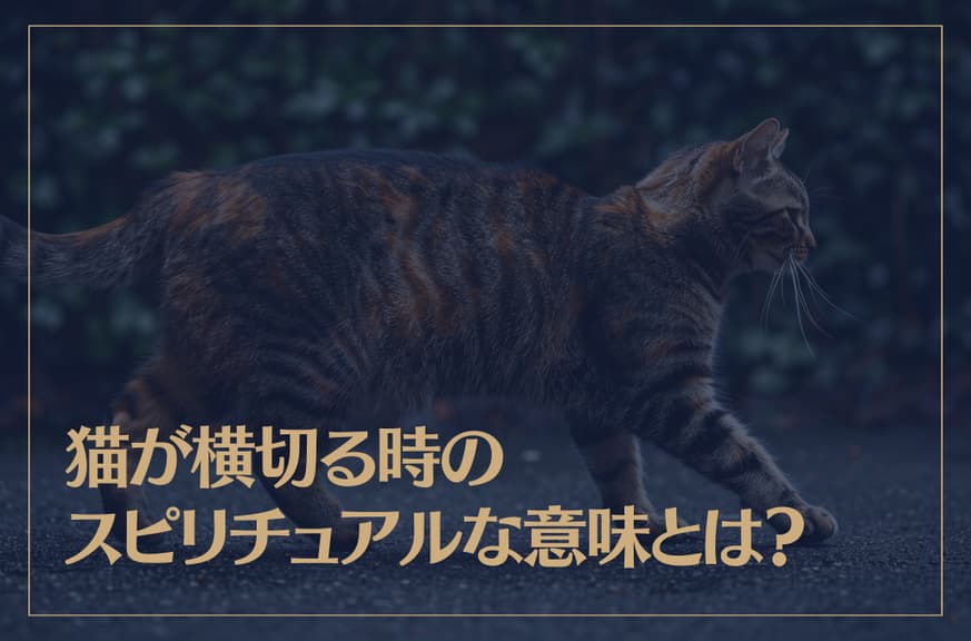 猫が横切る時のスピリチュアルな意味とは？