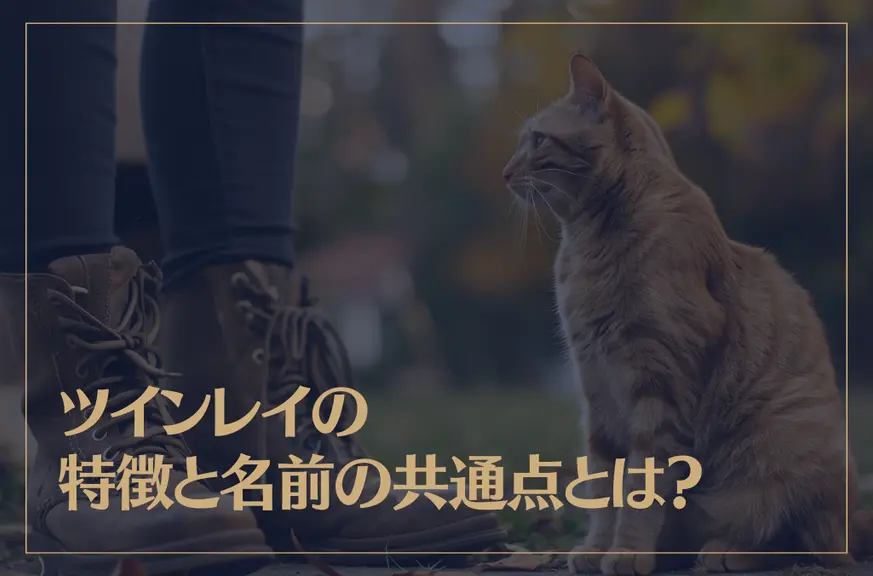 猫が離れない時のスピリチュアルな意味とは？