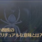 白い蜘蛛のスピリチュアルな意味とは？
