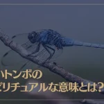 青いトンボのスピリチュアルな意味とは？