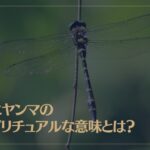 オニヤンマのスピリチュアルな意味とは？
