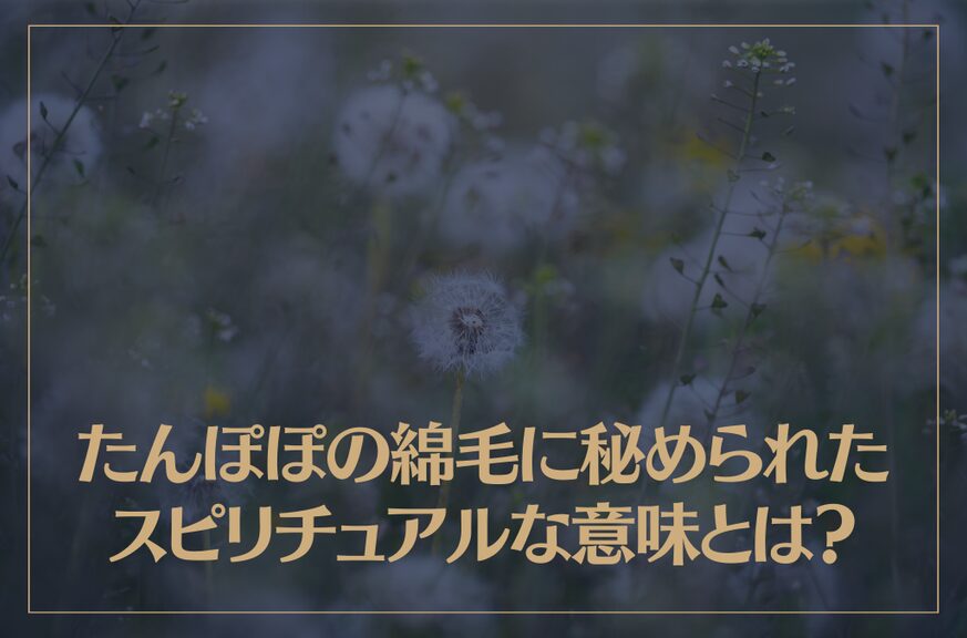 たんぽぽの綿毛に秘められたスピリチュアルな意味とは？