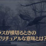 カラスが横切るときのスピリチュアルな意味とは？