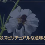 アブのスピリチュアルな意味とは？