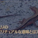 イモリのスピリチュアルな意味とは？