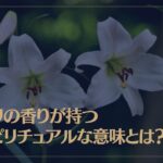 ユリの香りが持つスピリチュアルな意味とは？