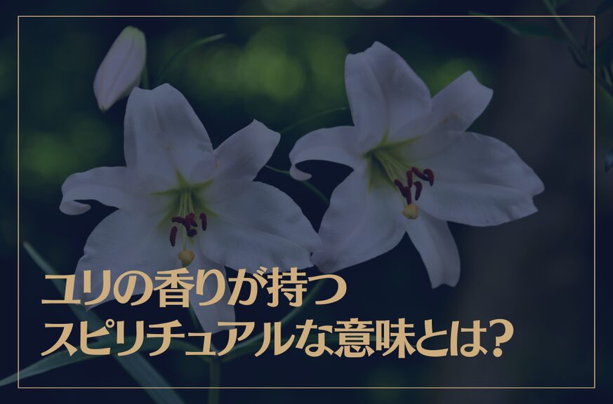 ユリの香りが持つスピリチュアルな意味とは？