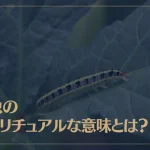 毛虫のスピリチュアルな意味とは？