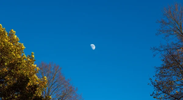 昼間の月のスピリチュアルなメッセージとは？
