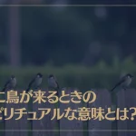 庭に鳥が来るときのスピリチュアルな意味とは？
