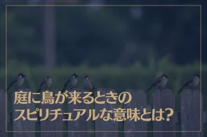 庭に鳥が来るときのスピリチュアルな意味とは？