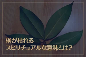 榊が枯れるスピリチュアルな意味とは？