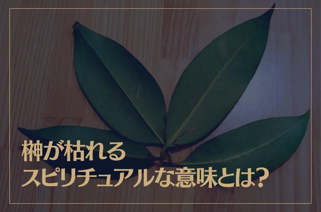 榊が枯れるスピリチュアルな意味とは？