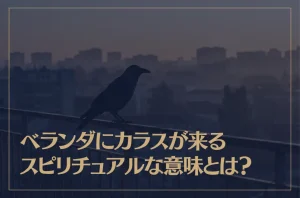 ベランダにカラスが来るスピリチュアルな意味とは？