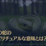 緑の蛇のスピリチュアルな意味とは？