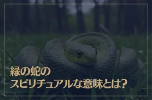 緑の蛇のスピリチュアルな意味とは？