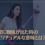 部屋に蜘蛛が出た時のスピリチュアルな意味とは？
