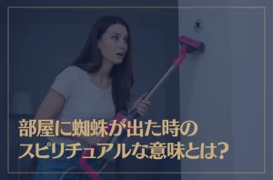 部屋に蜘蛛が出た時のスピリチュアルな意味とは？