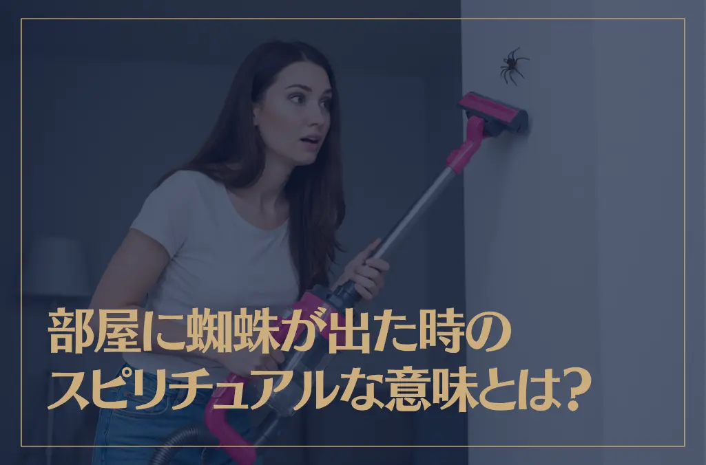 部屋に蜘蛛が出た時のスピリチュアルな意味とは？
