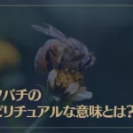 ミツバチのスピリチュアルな意味とは？