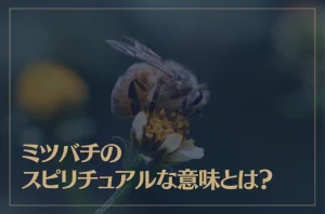 ミツバチのスピリチュアルな意味とは？
