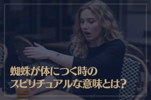 蜘蛛が体につく時のスピリチュアルな意味とは？